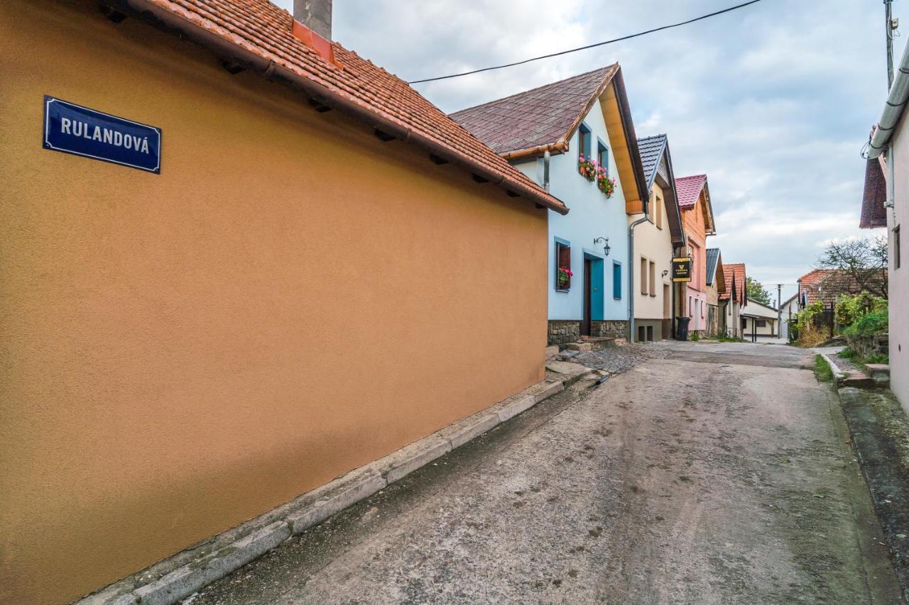 Vinoza - Ubytovani A Vinny Sklep Velke Bilovice Rulandova Exterior photo
