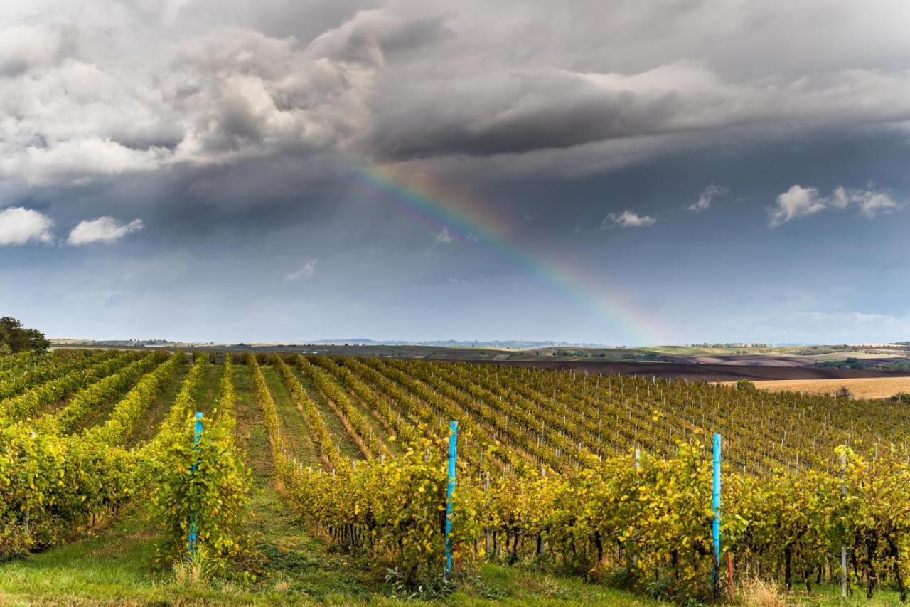 Vinoza - Ubytovani A Vinny Sklep Velke Bilovice Rulandova Exterior photo